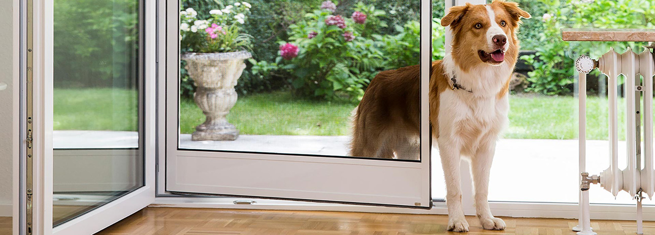 Homepage Fa. Raumausstatter Salzmann: Startbild